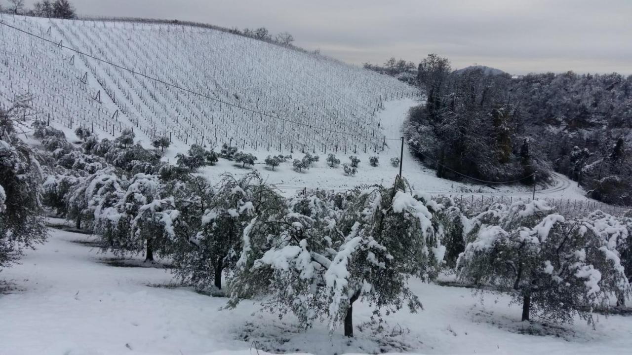 Podere Riosto Cantina&agriturismo Vakantieboerderij Pianoro