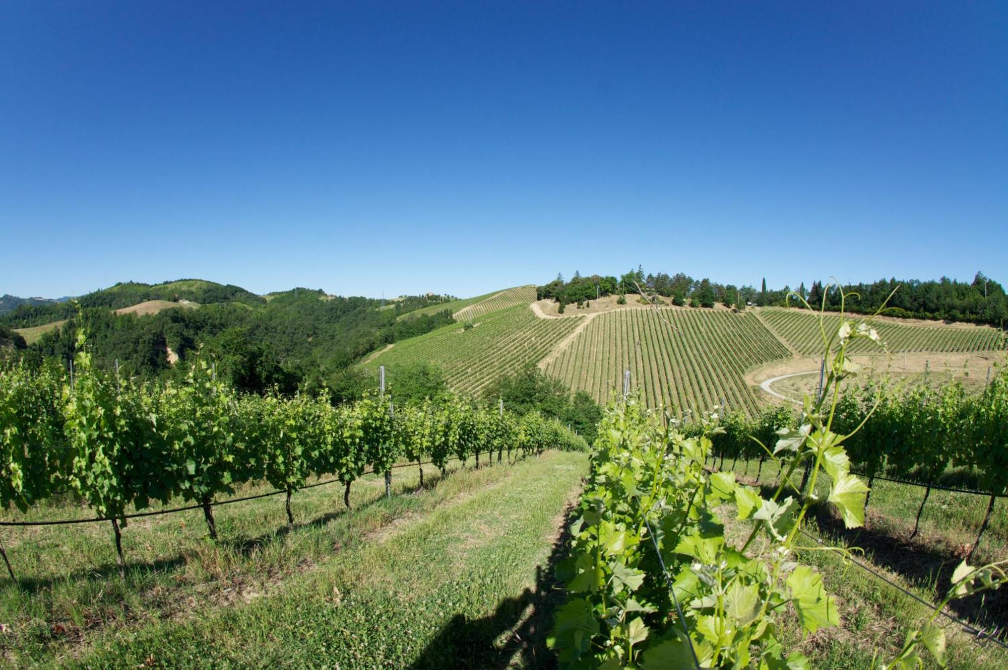 Vakantieboerderij Podere Riosto Cantina&agriturismo Pianoro