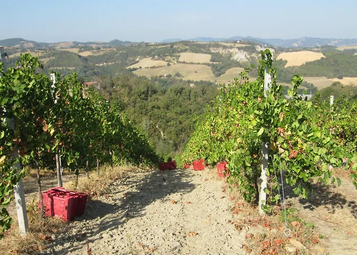 Podere Riosto Cantina&Agriturismo