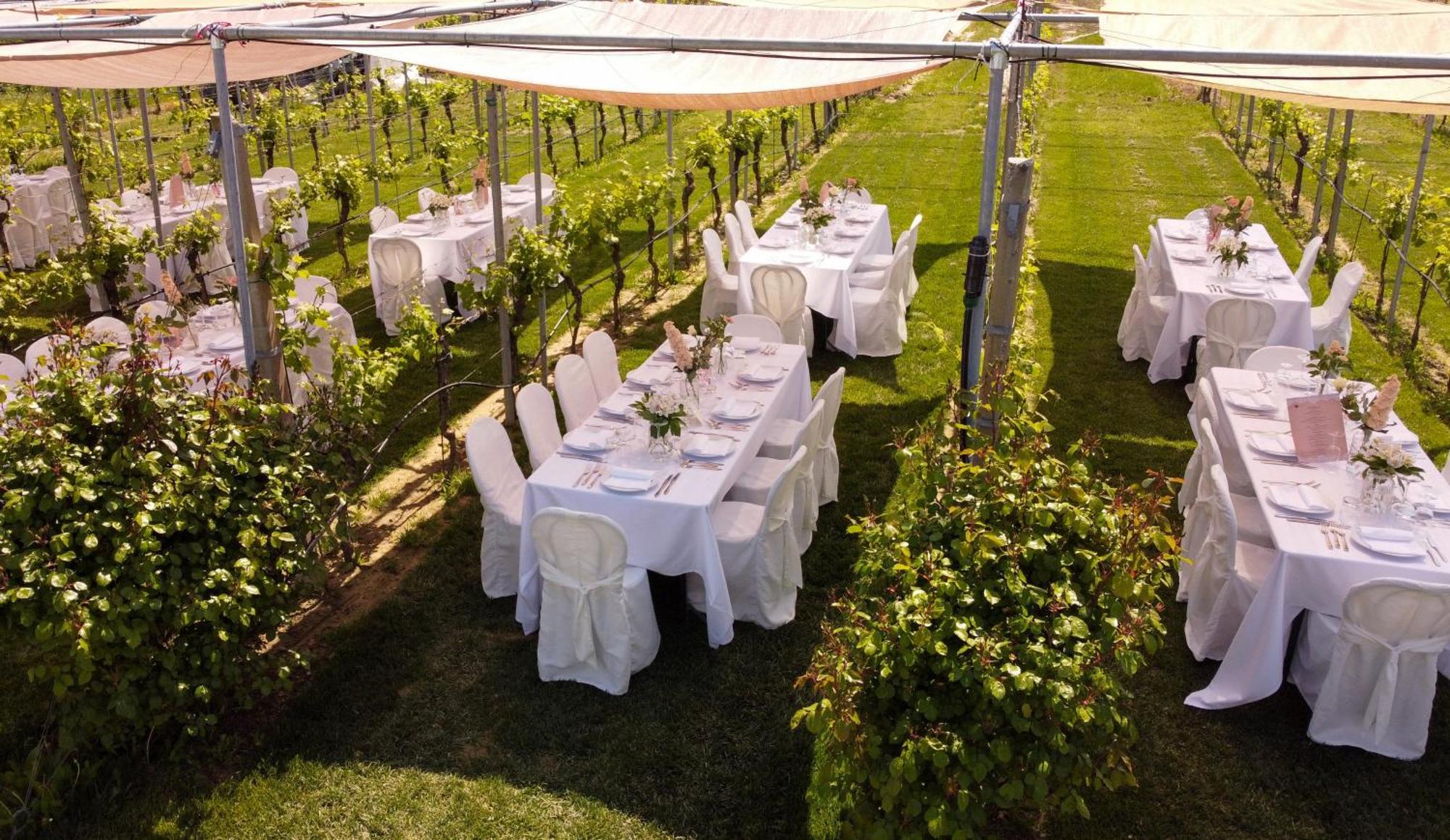 Bauernhof Podere Riosto Cantina&agriturismo Pianoro