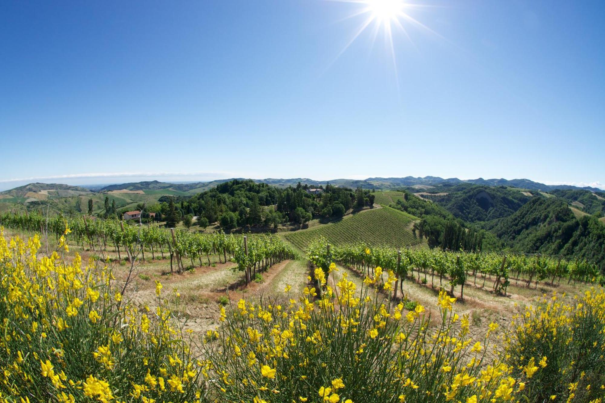 Podere Riosto Cantina&agriturismo *