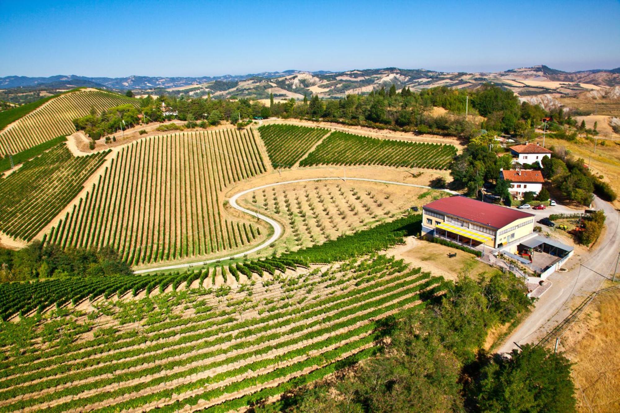Podere Riosto Cantina&agriturismo Bauernhof Pianoro