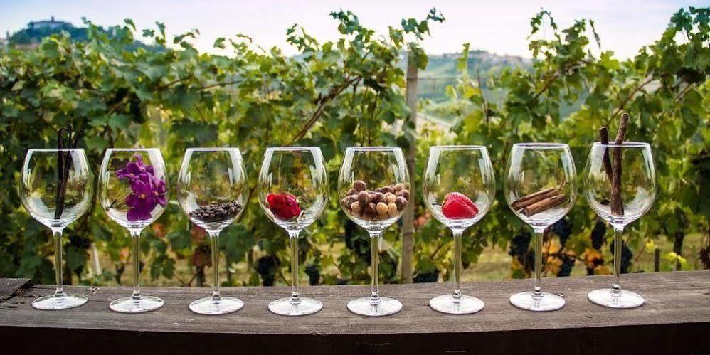 Podere Riosto Cantina&agriturismo