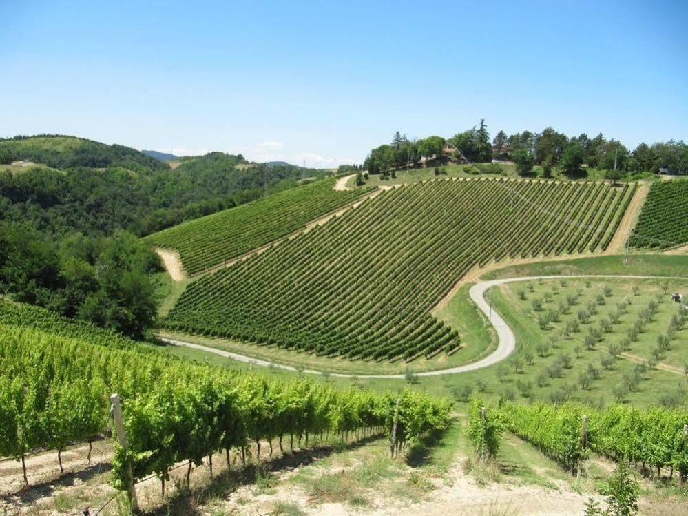 Bauernhof Podere Riosto Cantina&agriturismo